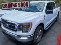 Image for 2022 Ford F-150 Supercrew ID: 6798137