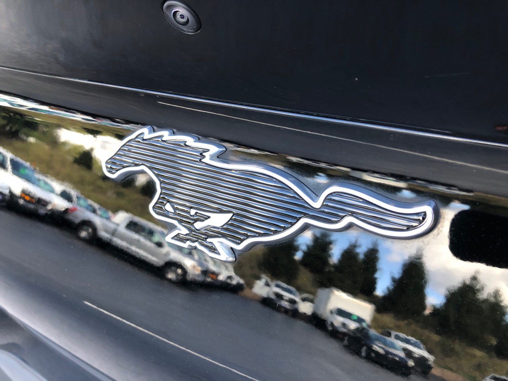 2021 Ford Mustang Image 15