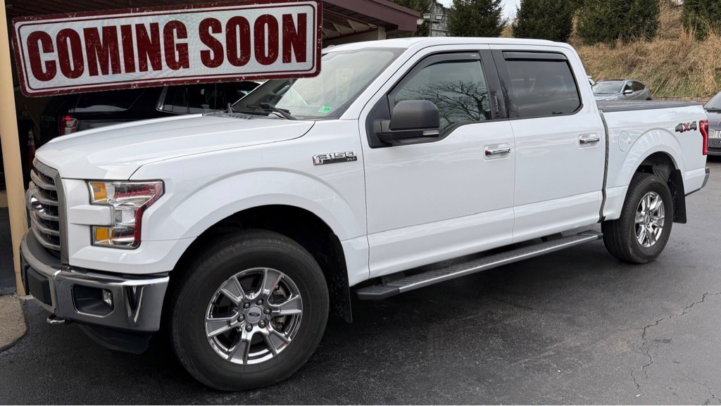 2016 Ford F-150 Image 1