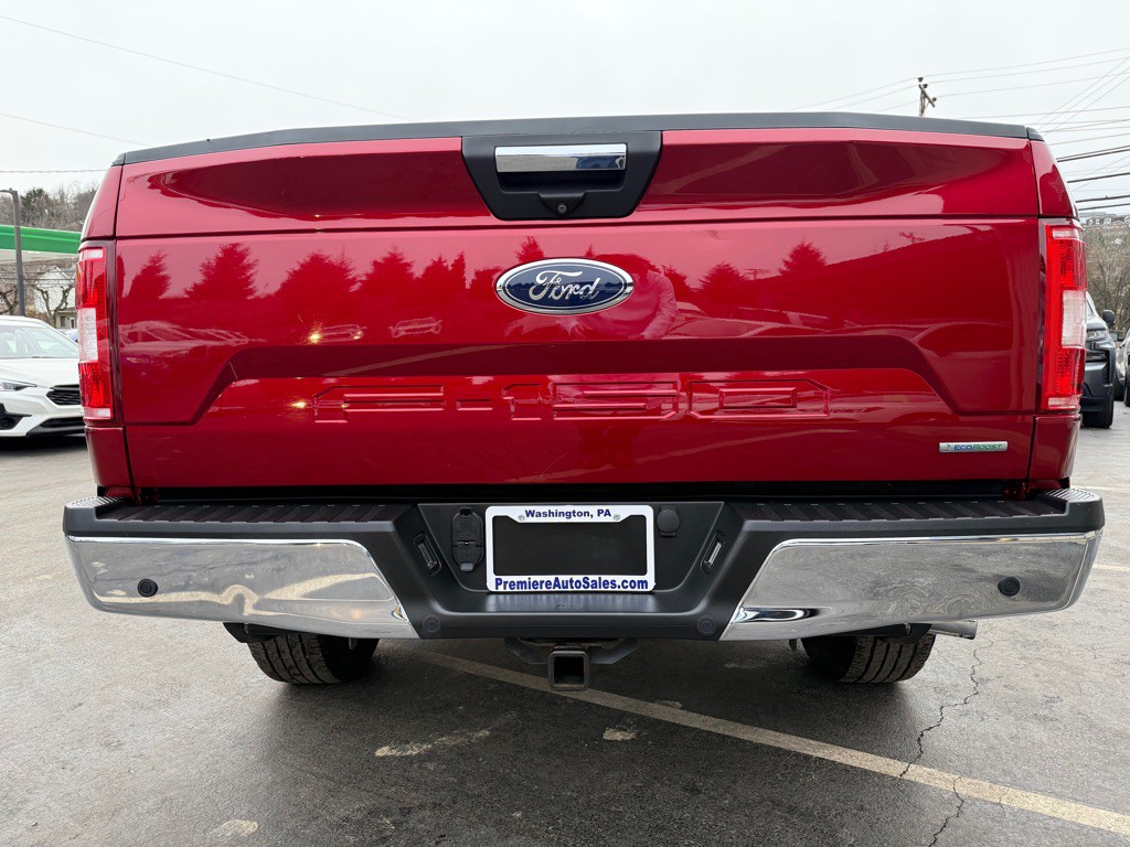 2019 Ford F-150 Image 4