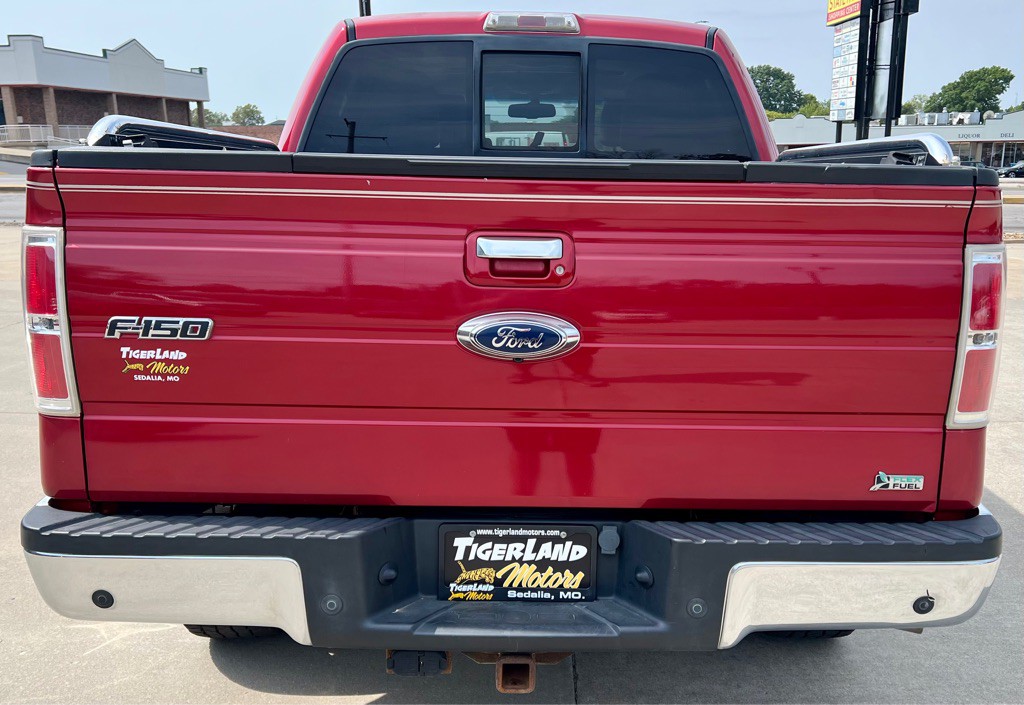 2010 Ford F-150 Image 6