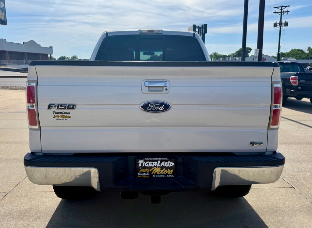 2010 Ford F-150 Image 5