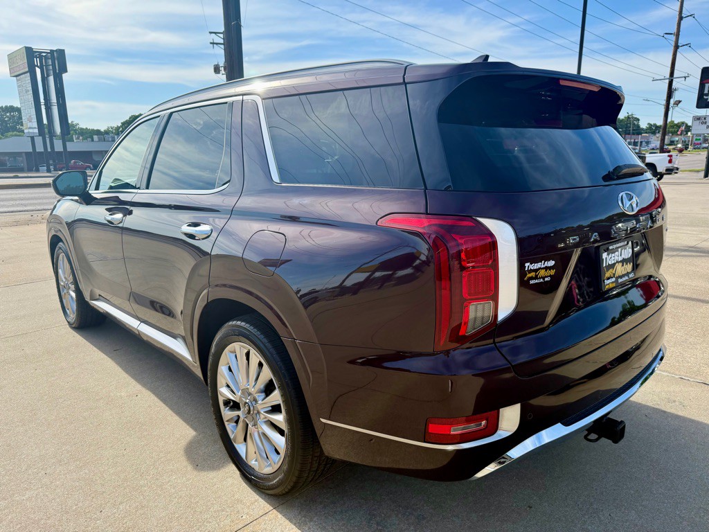 2020 Hyundai Palisade Image 6