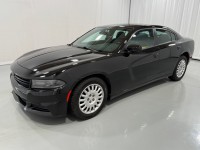 Image for 2017 Dodge Charger Police ID: 6286884