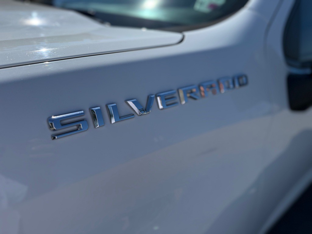 2019 Chevrolet Silverado 1500 Image 9
