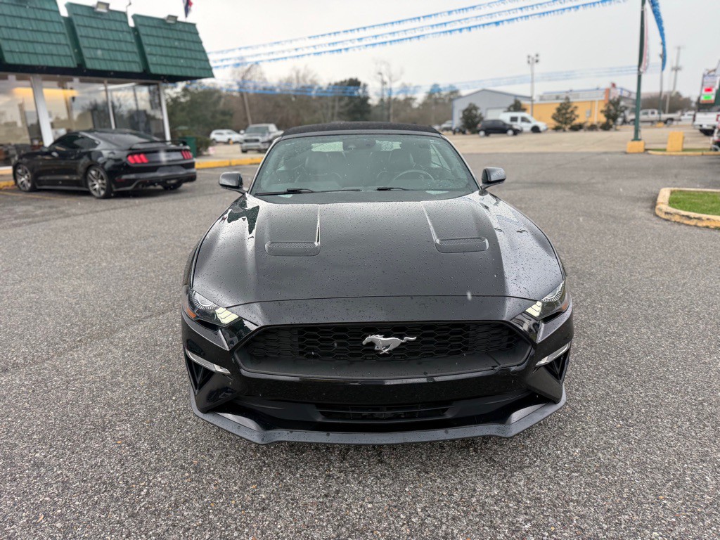 2021 Ford Mustang Image 2