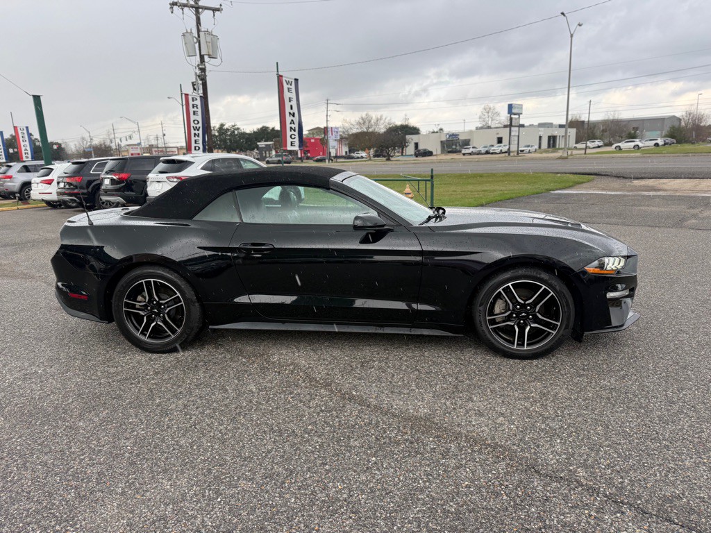 2021 Ford Mustang Image 4