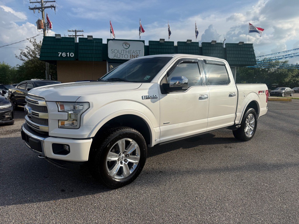 2015 Ford F-150 Image 1