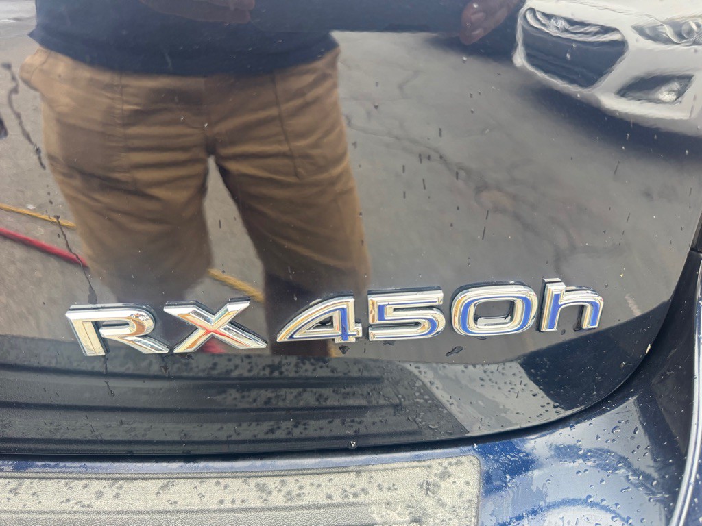 2010 Lexus RX Image 11