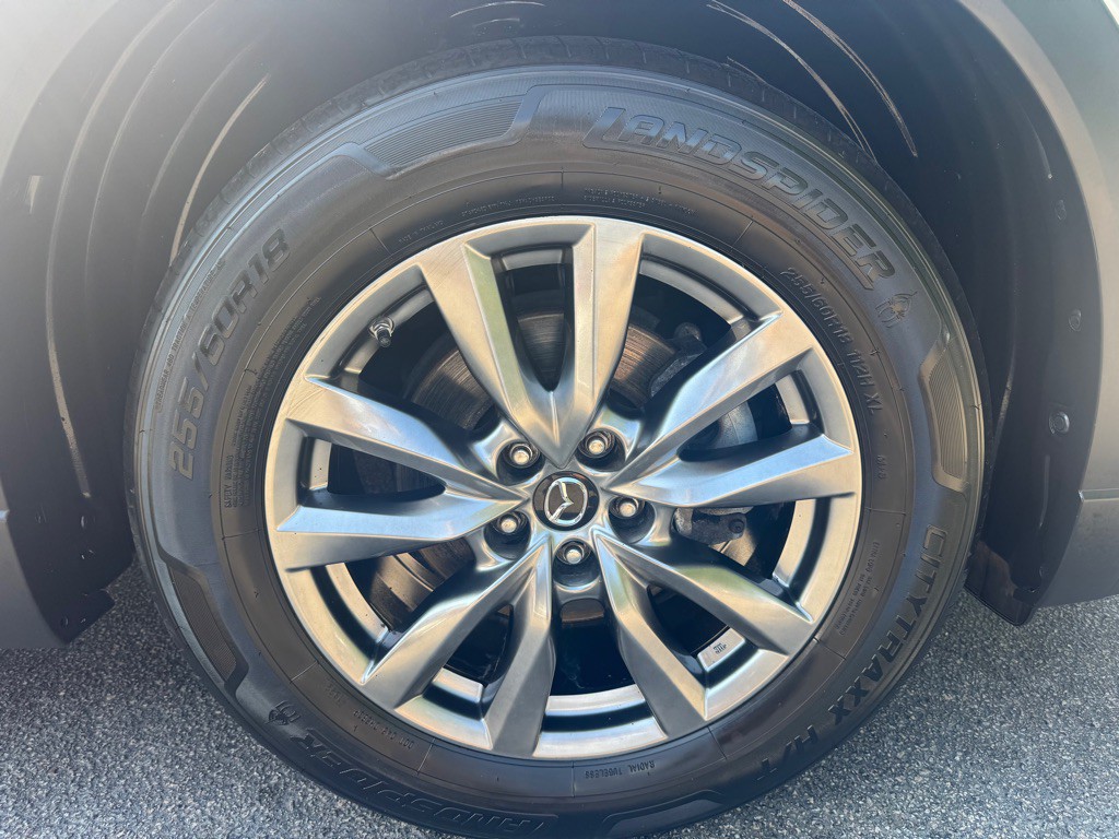 2019 Mazda CX-9 Image 38