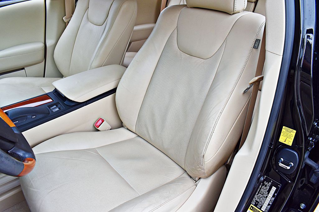 2010 Lexus RX Image 17
