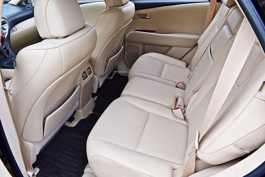 2010 Lexus RX Image 18