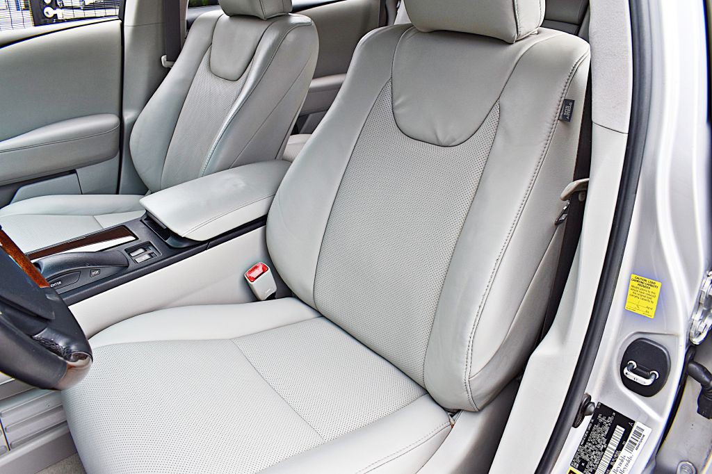 2010 Lexus RX Image 17