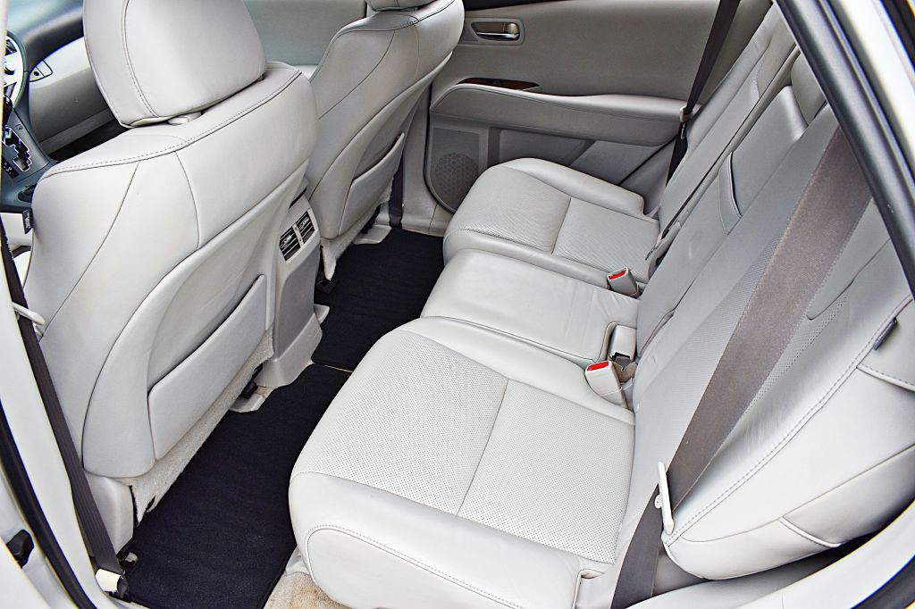 2010 Lexus RX Image 18