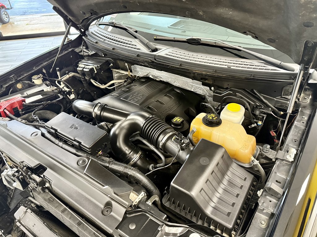 2013 Ford F-150 Image 18