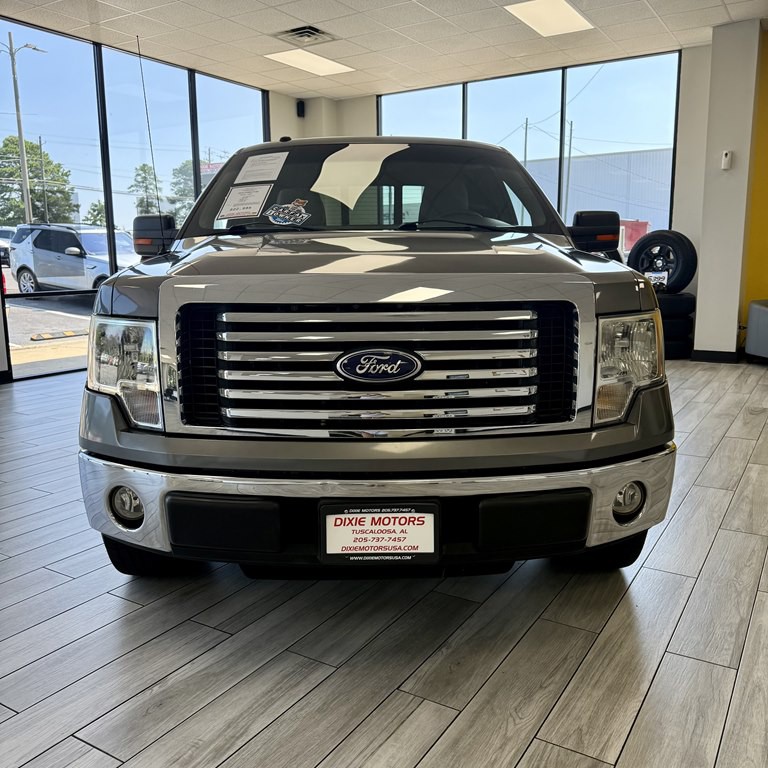 2010 Ford F-150 Image 2