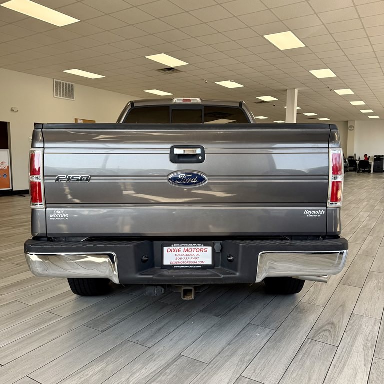 2010 Ford F-150 Image 4