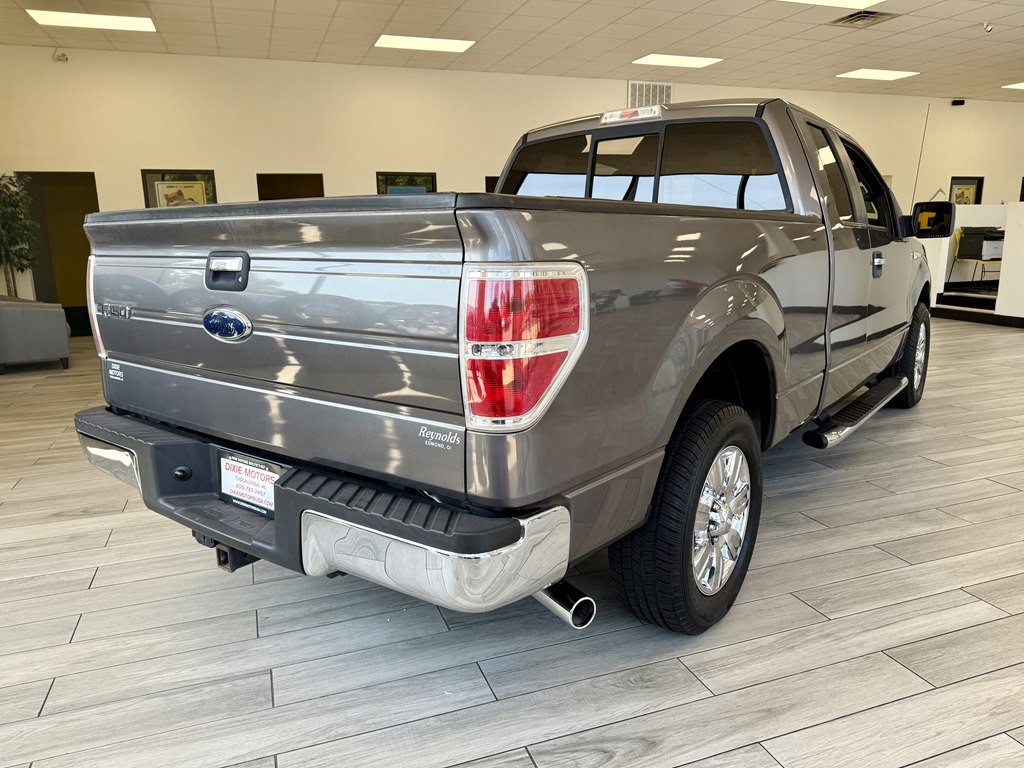2010 Ford F-150 Image 6