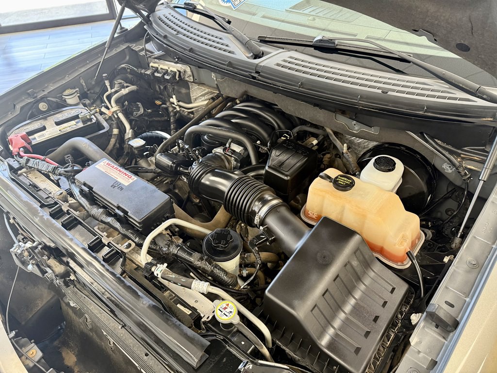 2010 Ford F-150 Image 17