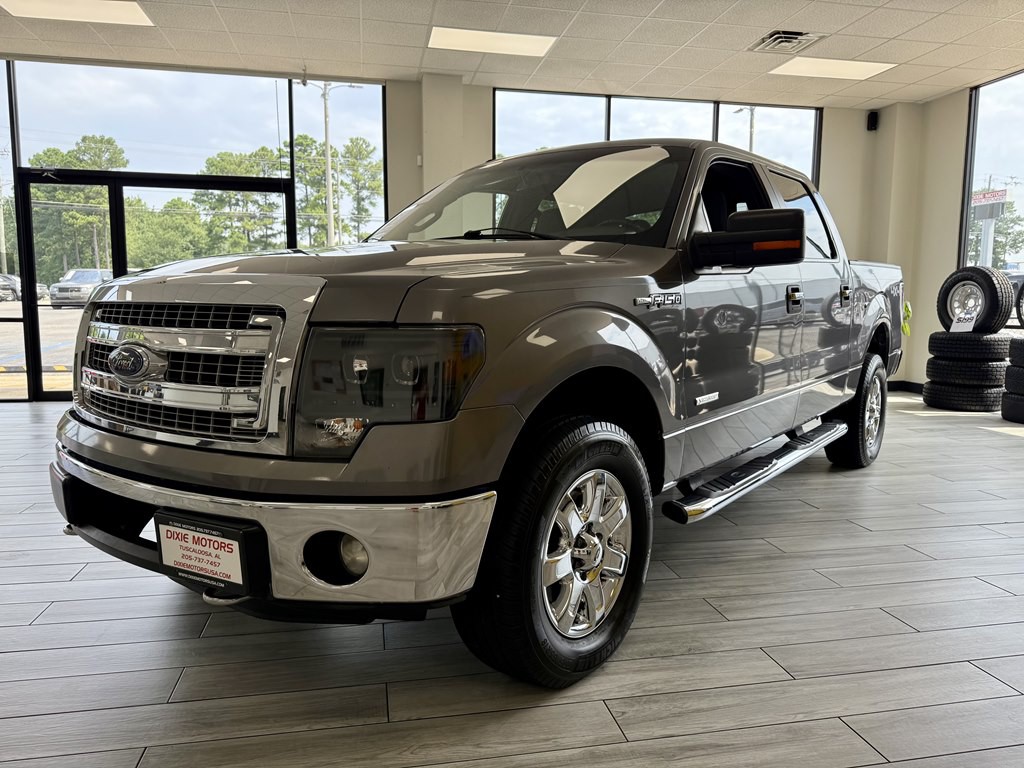 2013 Ford F-150 Image 3