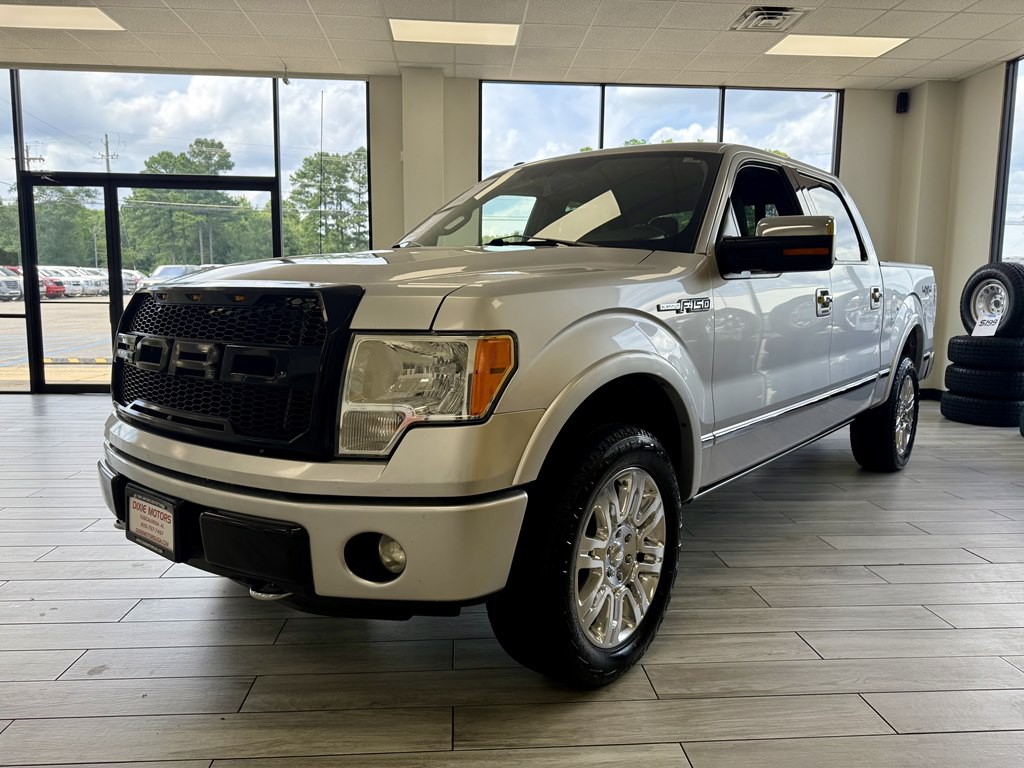 2011 Ford F-150 Image 3