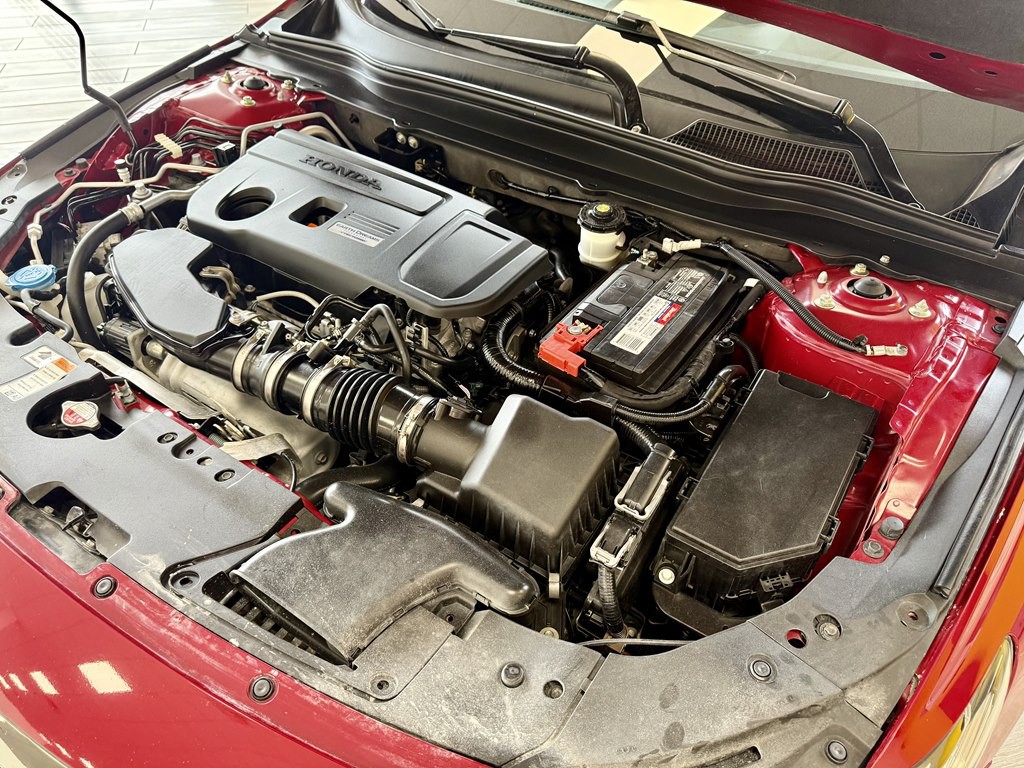 2019 Honda Accord Image 18