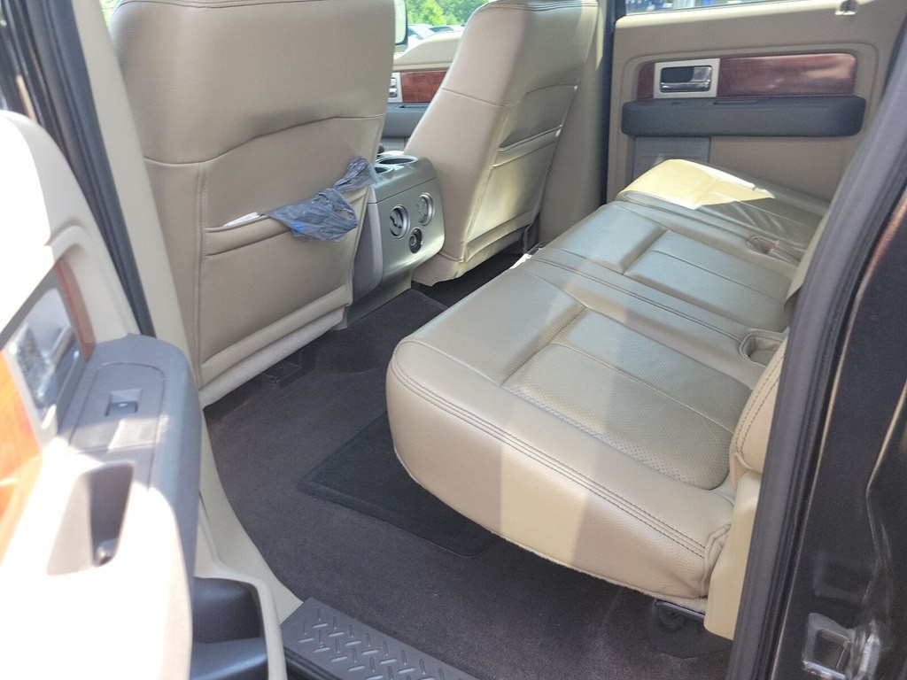 2010 Ford F-150 Image 6