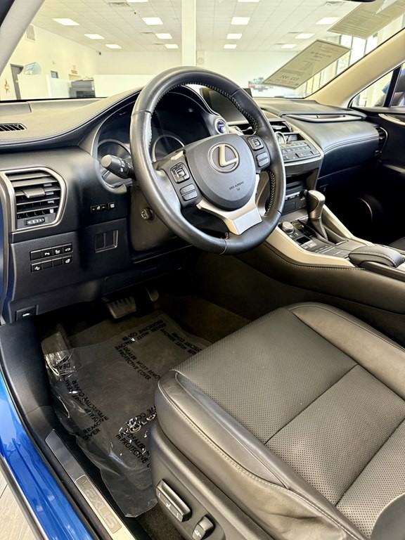 2016 Lexus NX 300 Image 10