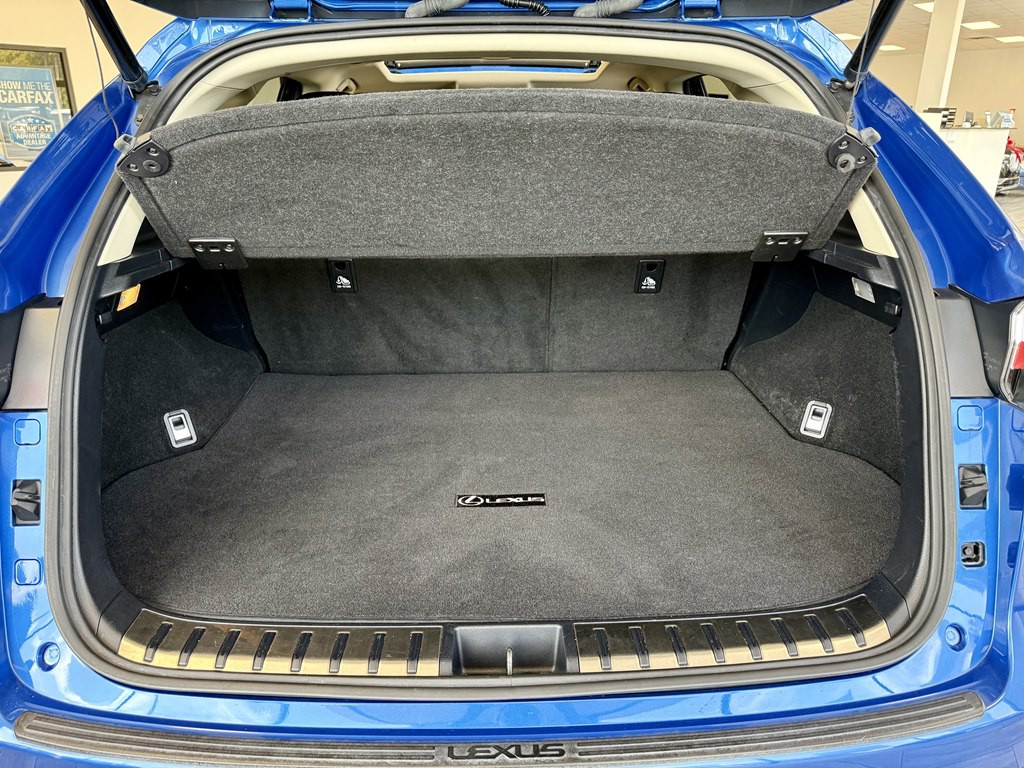 2016 Lexus NX 300 Image 14