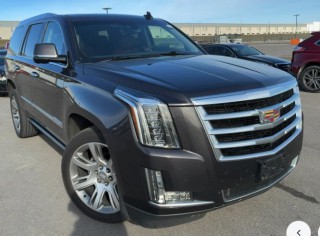 Image for 2016 Cadillac Escalade Premium ID: 7106076