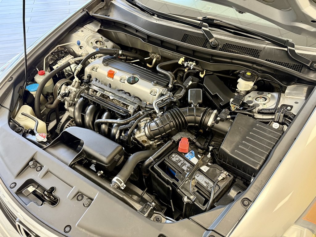 2010 Honda Accord Image 16