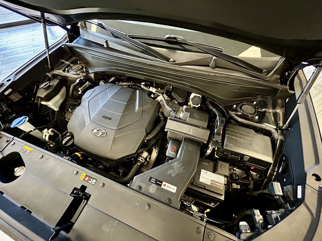 2020 Hyundai Palisade Image 19