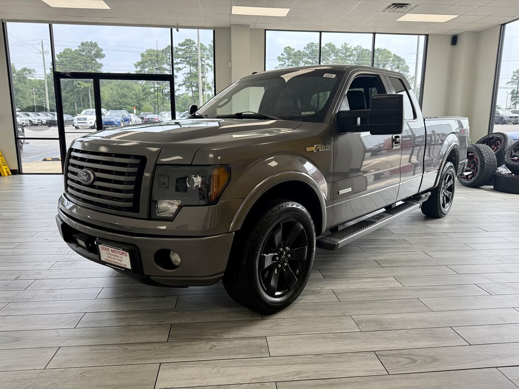 2011 Ford F-150 Image 3
