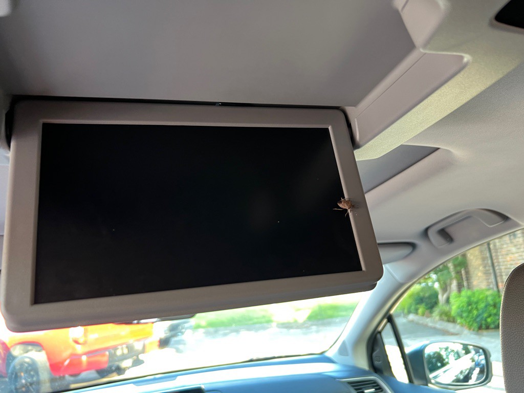 2019 Honda Odyssey Image 10