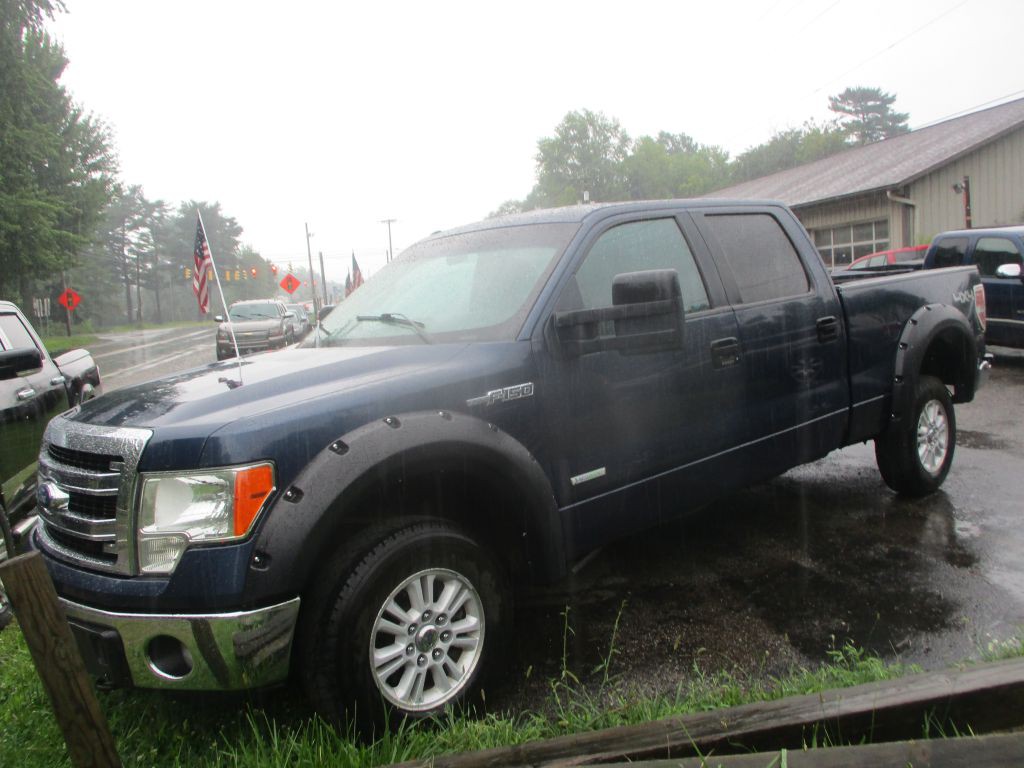 2013 Ford F-150 Image 3
