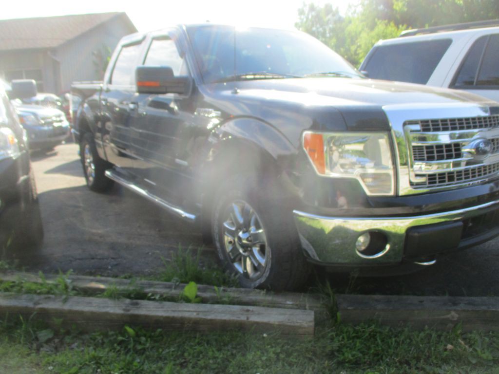 2014 Ford F-150 Image 3