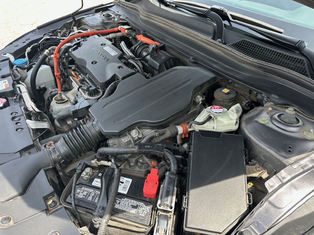 2019 Honda Accord Image 22