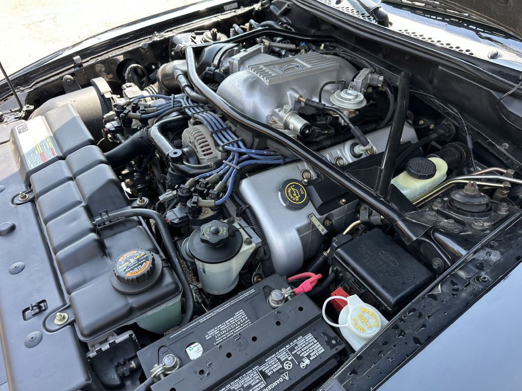 1996 Ford Mustang Image 16