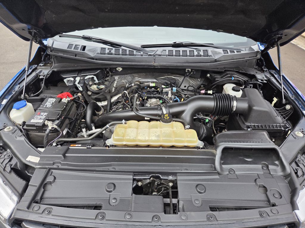 2019 Ford F-150 Image 2
