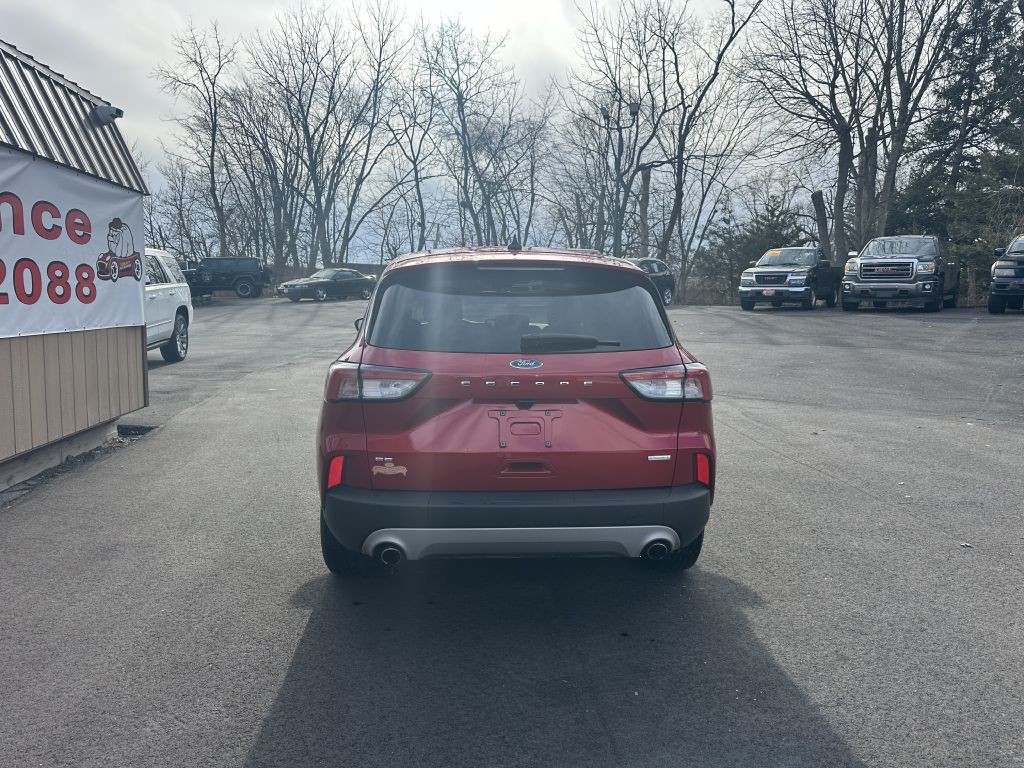 2020 Ford Escape Image 5