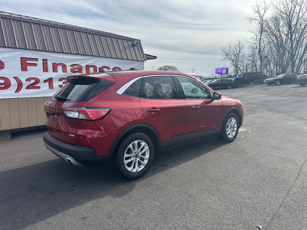 2020 Ford Escape Image 6