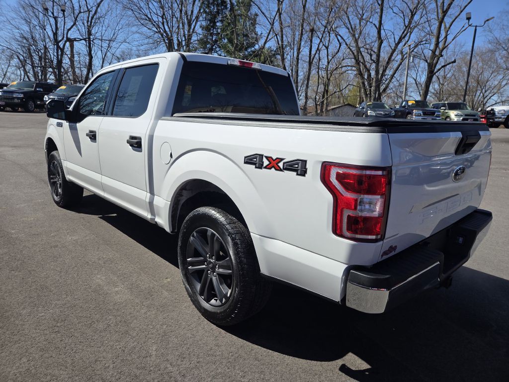 2019 Ford F-150 Image 4