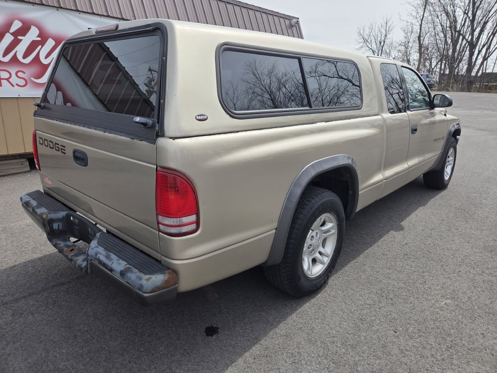2002 Dodge Dakota Image 6