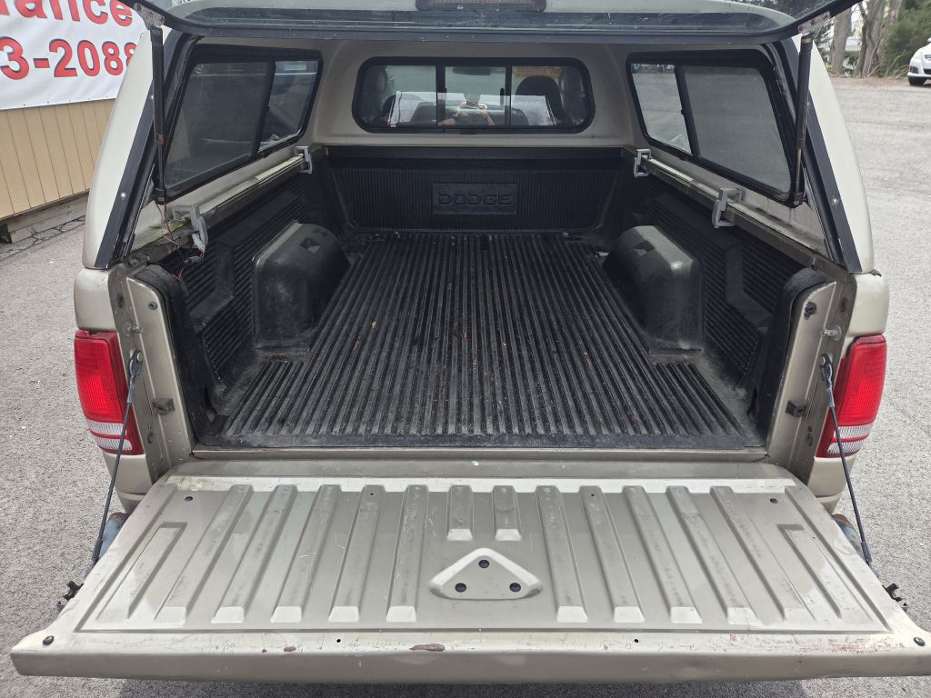 2002 Dodge Dakota Image 8
