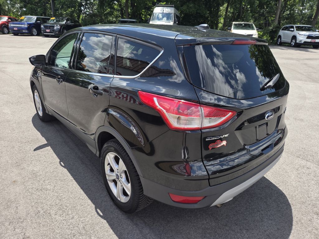 2015 Ford Escape Image 5
