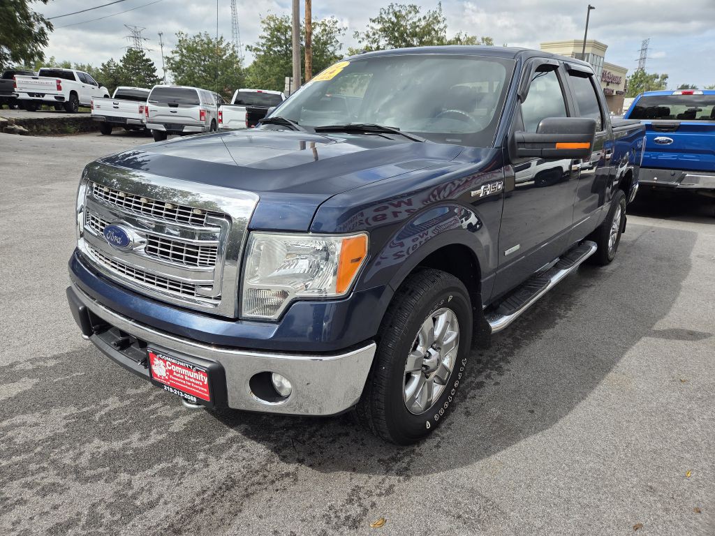 2014 Ford F-150 Image 3