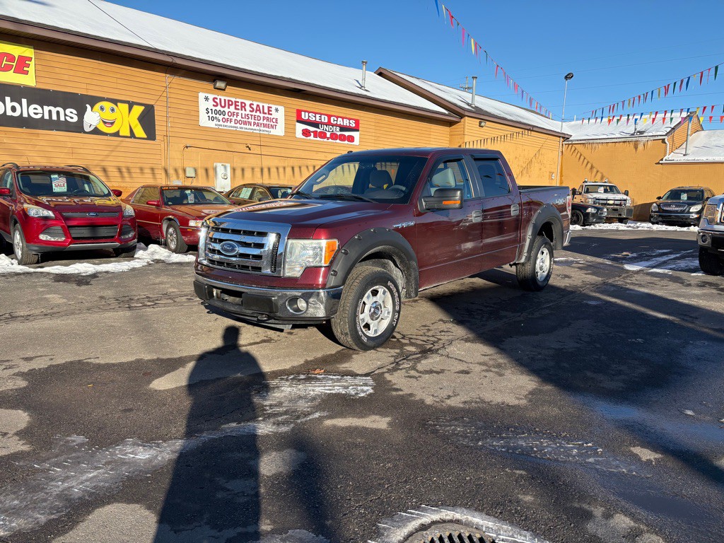 2010 Ford F-150 Image 2
