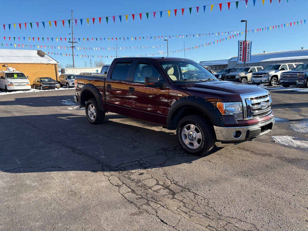 2010 Ford F-150 Image 3