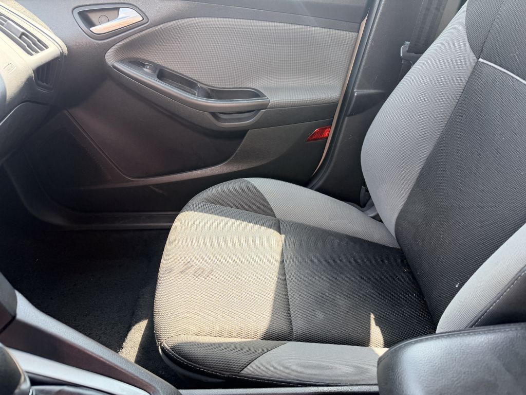 2014 Ford Focus Image 12