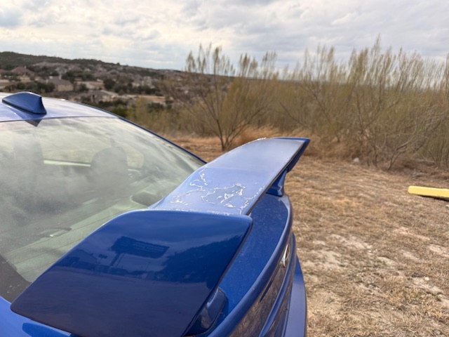 2015 Subaru WRX Image 16